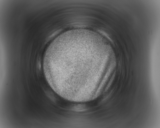 X0000086240398200704261920