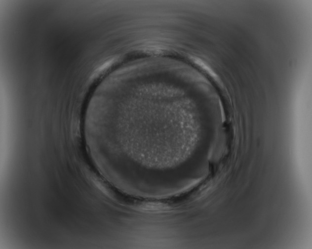 X0000086240399200704261920