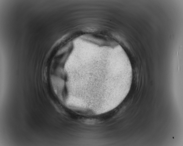 X0000086240400200704261920