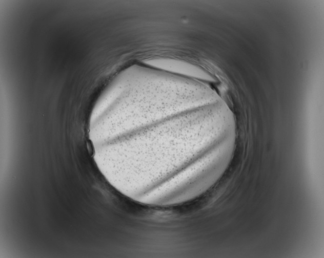 X0000086240401200704261920