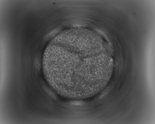 X0000086240402200704261920