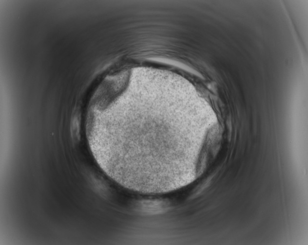 X0000086240404200704261920