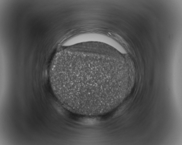 X0000086240405200704261920