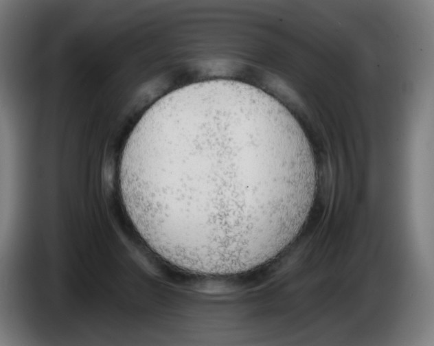 X0000086240406200704261920