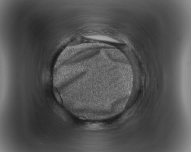X0000086240407200704261920