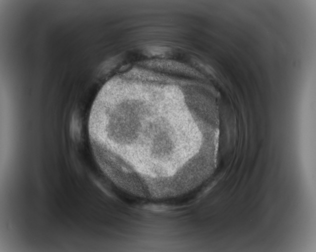 X0000086240408200704261920