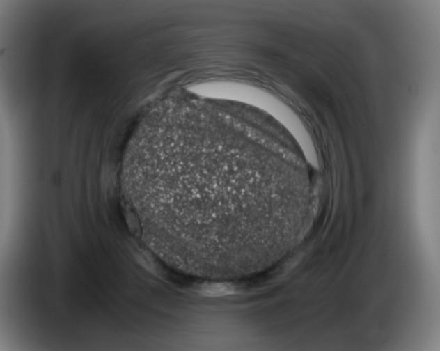 X0000086240409200704261920
