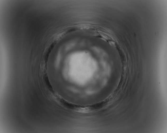 X0000086240411200704261920