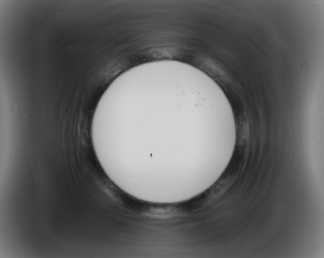 X0000086240414200704261920