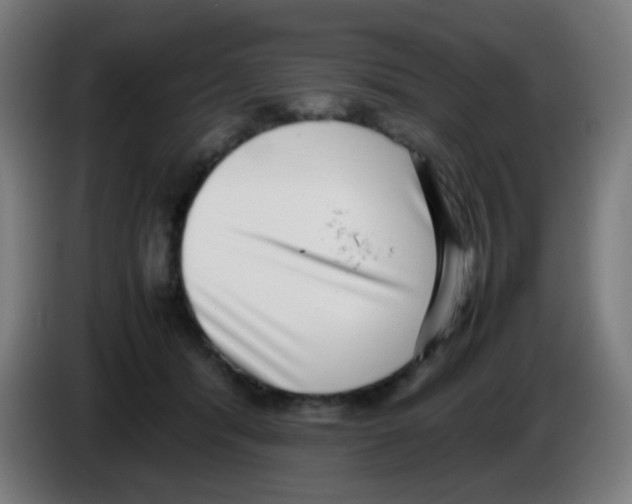 X0000086240416200704261920
