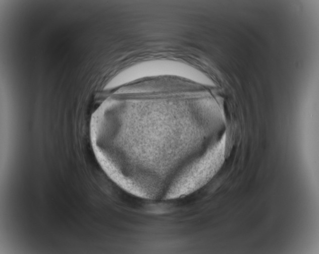 X0000086240417200704261920