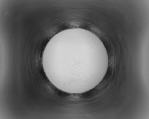 X0000086240418200704261920
