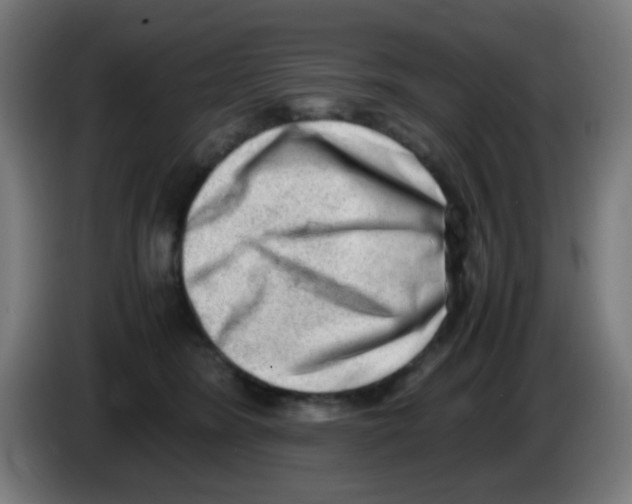 X0000086240420200704261920