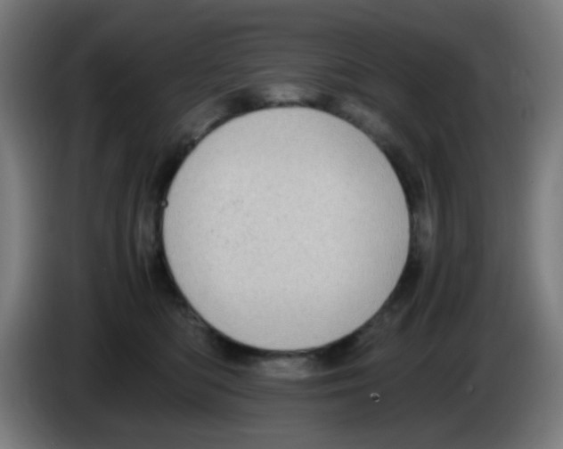 X0000086240422200704261920