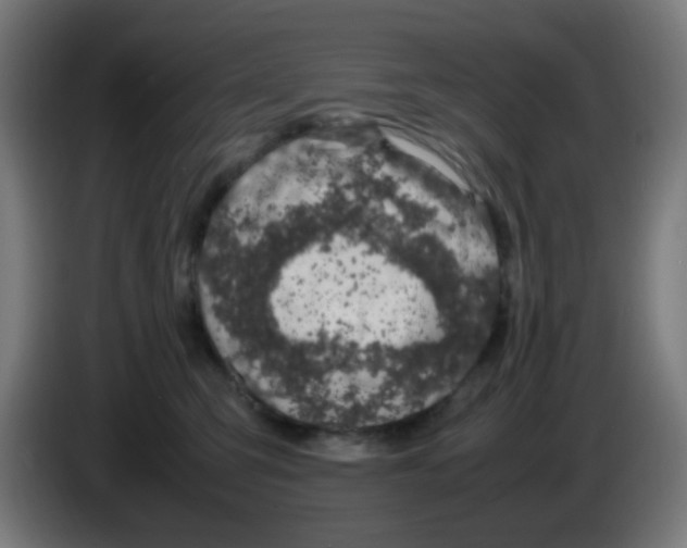 X0000086240423200704261920