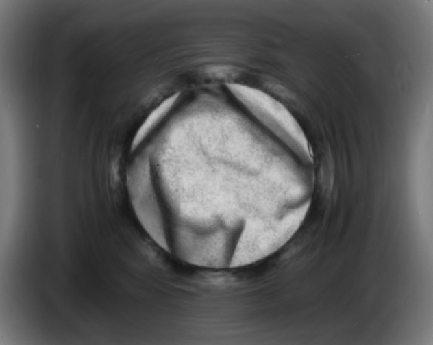 X0000086240424200704261920