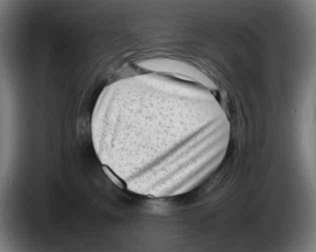 X0000086240425200704261920