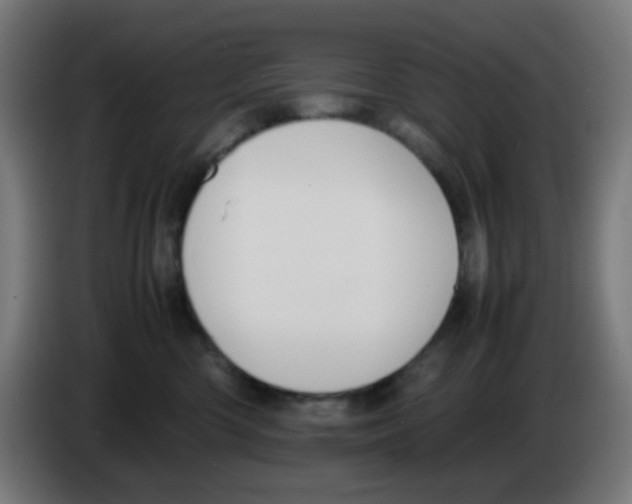 X0000086240426200704261920