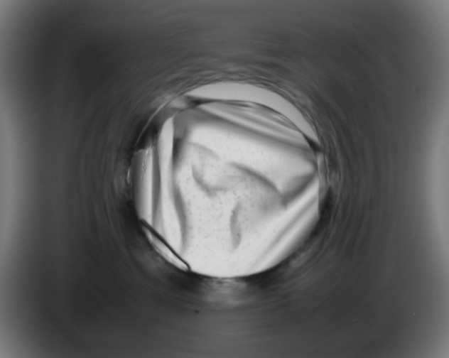 X0000086240429200704261920