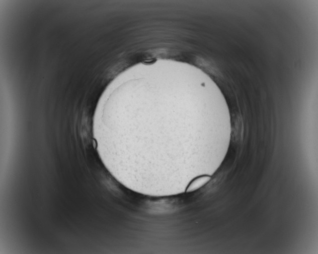 X0000086240430200704261920