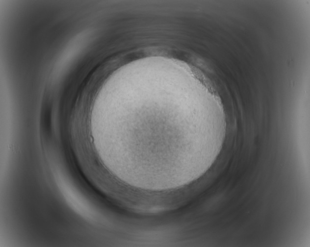 X0000086240431200704261920