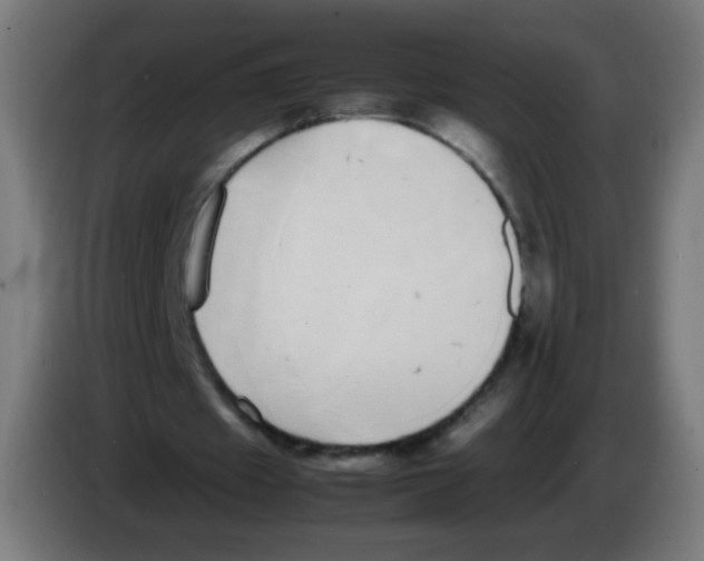 X0000086240433200704261919