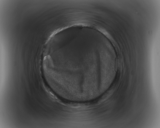 X0000086240434200704261919