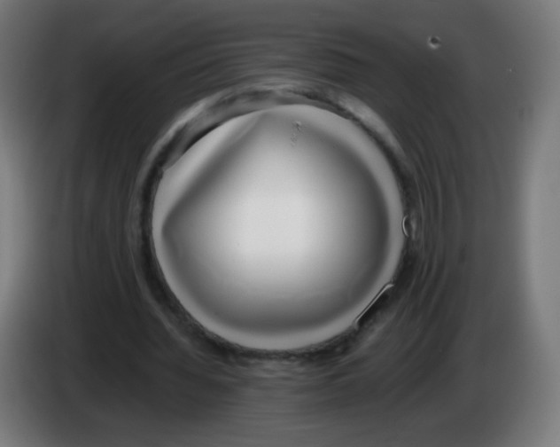 X0000086240436200704261919