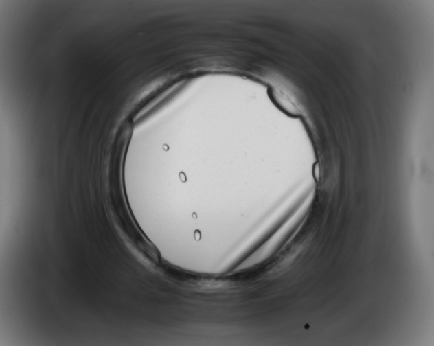 X0000086240437200704261919