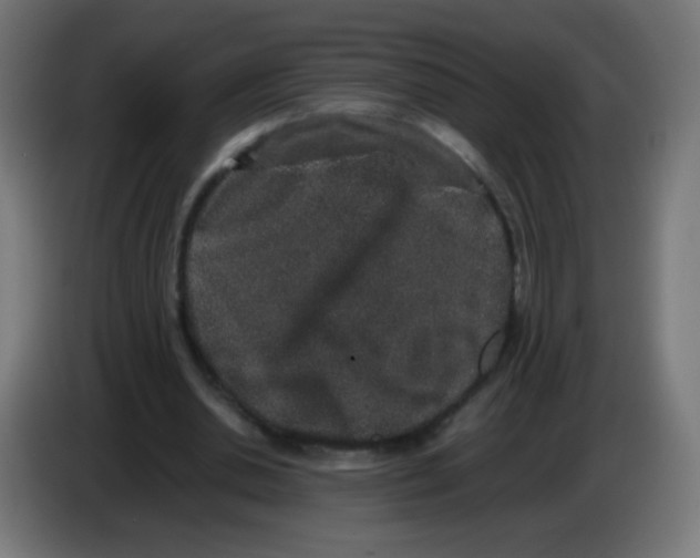 X0000086240438200704261919