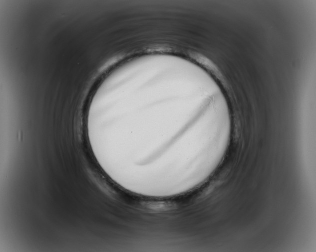 X0000086240439200704261919