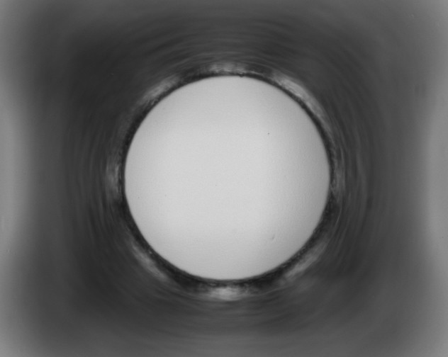 X0000086240441200704261919