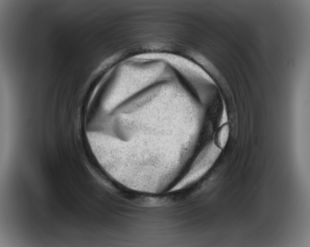 X0000086240442200704261919