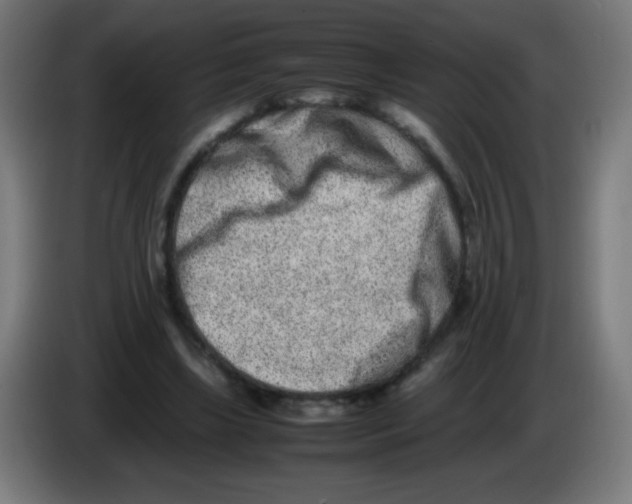 X0000086240443200704261919