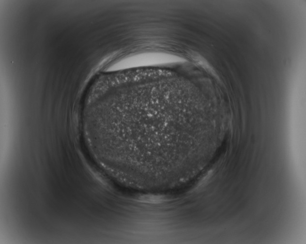 X0000086240444200704261919