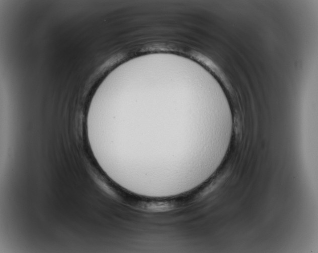 X0000086240445200704261919