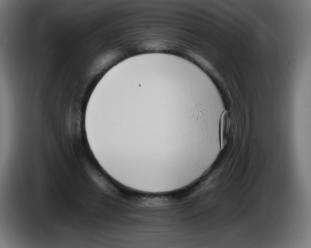X0000086240446200704261919