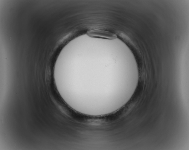 X0000086240448200704261919