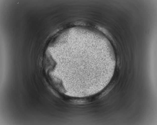 X0000086240449200704261919