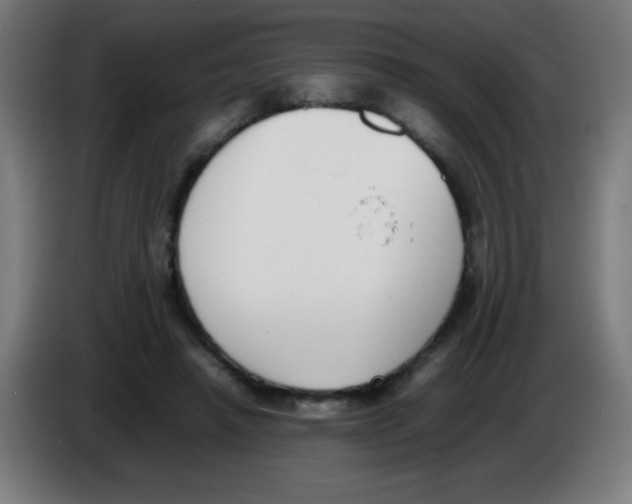 X0000086240450200704261919