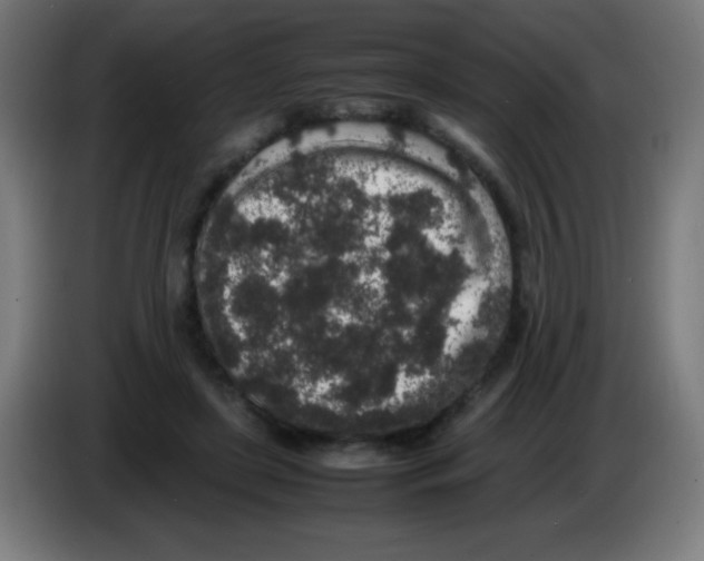 X0000086240451200704261919