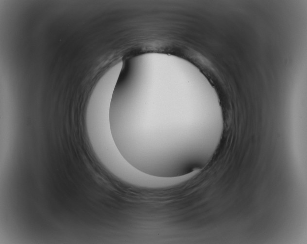 X0000086240452200704261919