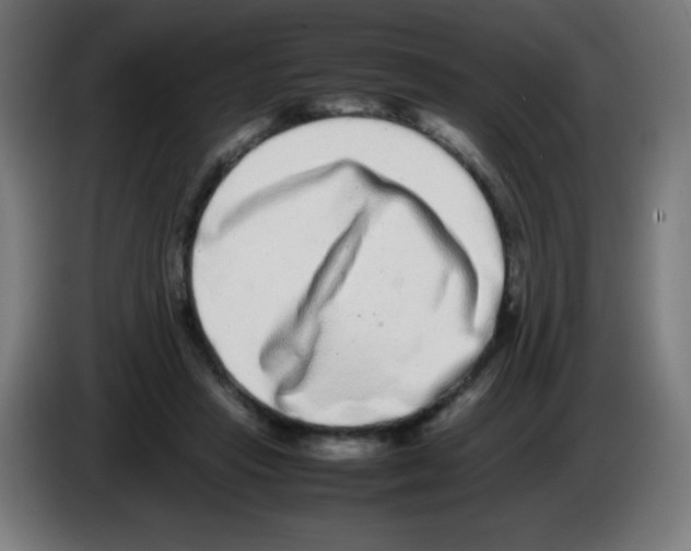 X0000086240453200704261919