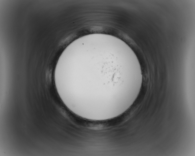 X0000086240454200704261919