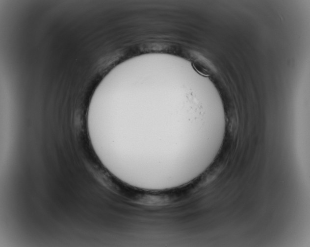 X0000086240455200704261919