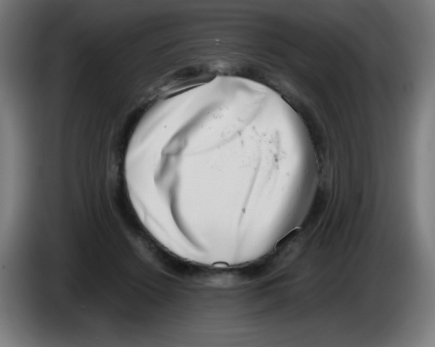 X0000086240456200704261919