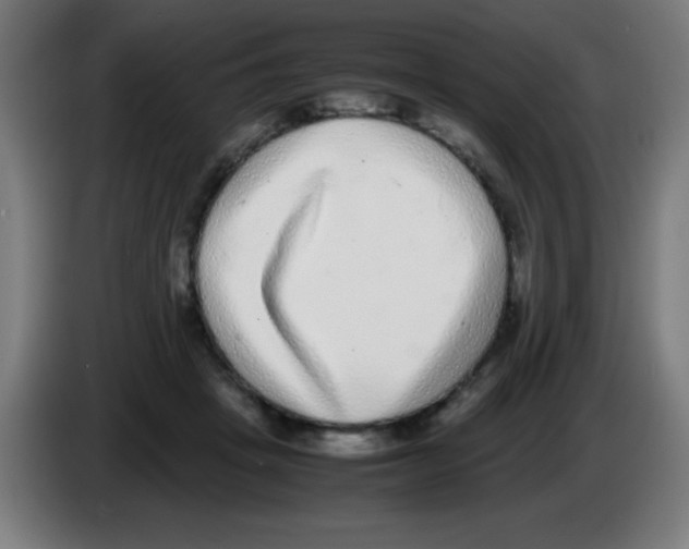 X0000086240457200704261919