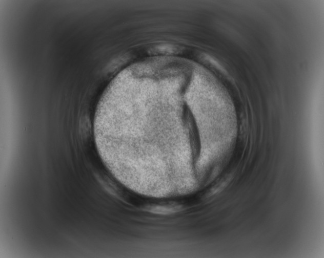 X0000086240459200704261919