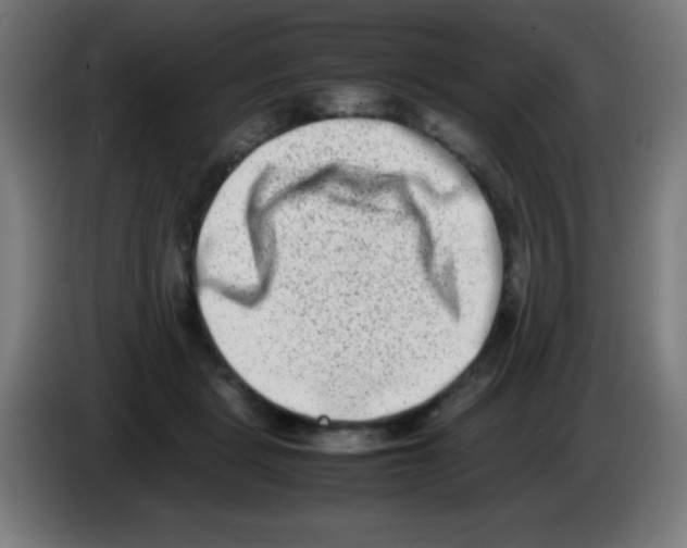 X0000086240461200704261919