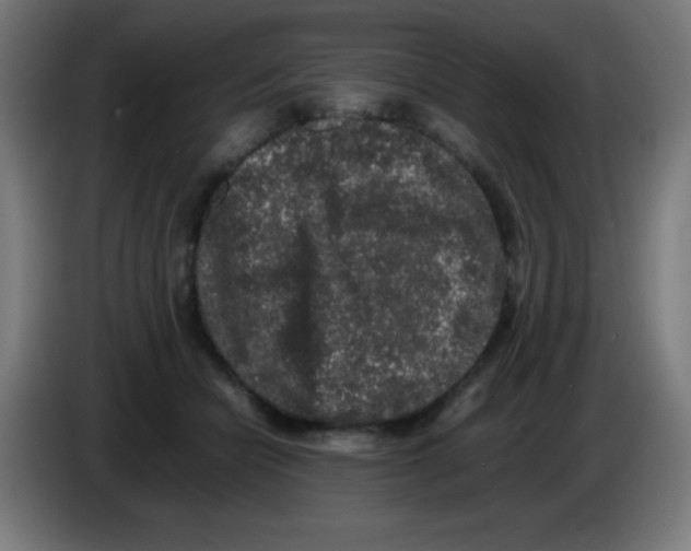 X0000086240462200704261919